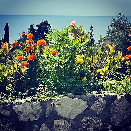 Exclusive Greccia Dhërmi