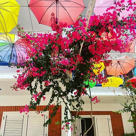 Exclusive Greccia Dhërmi