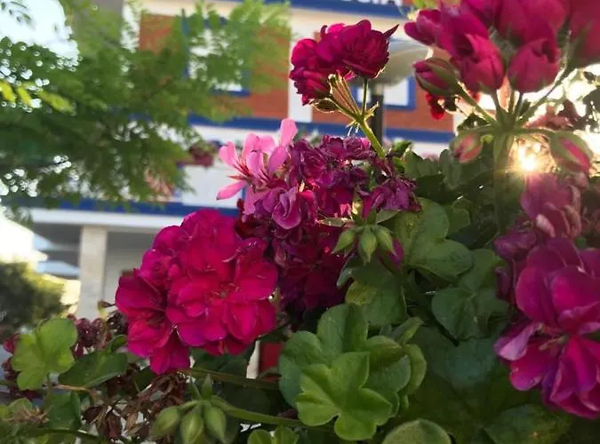 Exclusive Greccia Hotel 4*