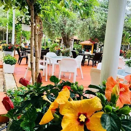 Exclusive Greccia 4*